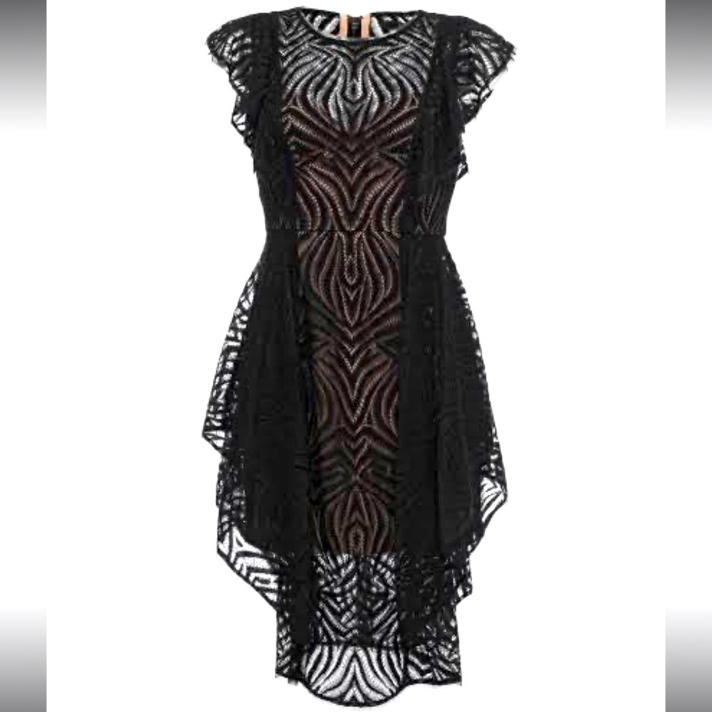 BCBGMaxAzria black lace dress with nude underlining, 6